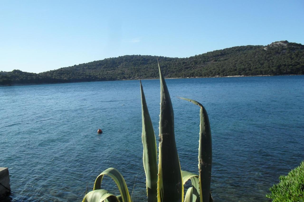 Hana - * Tisno